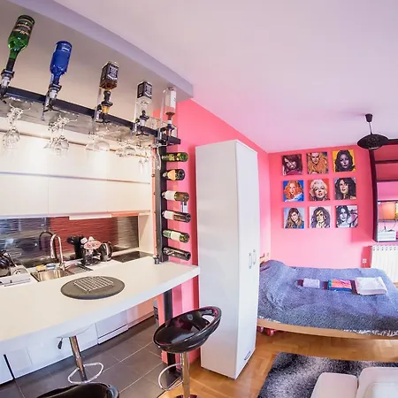 U Srcu Grada Apartment *
