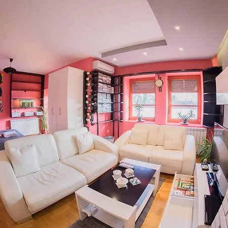 U Srcu Grada Apartment *
