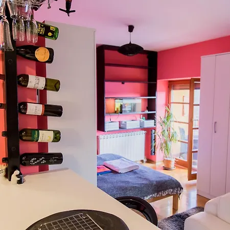 Apartment U Srcu Grada