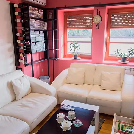 U Srcu Grada Apartment